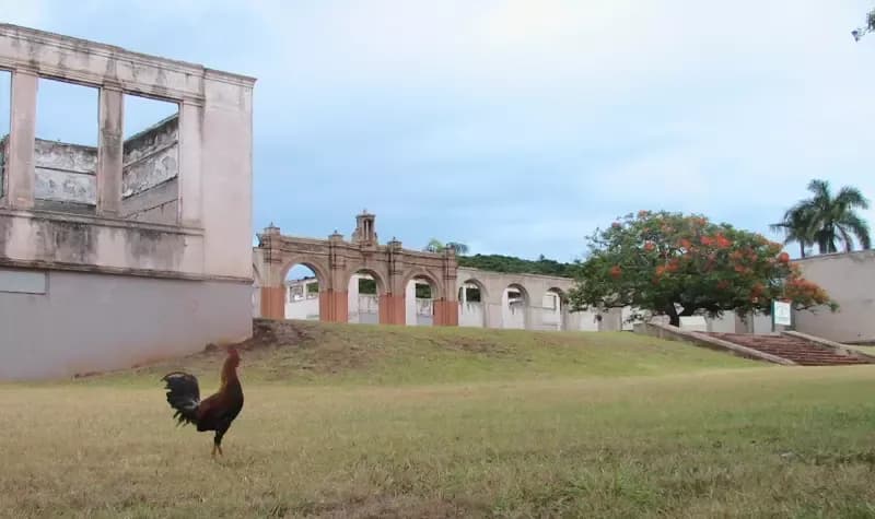 The Legend of Old Maui High School