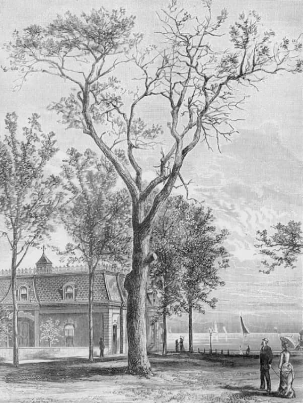 "The Massacre Tree"—The Roots of Chicago's Story