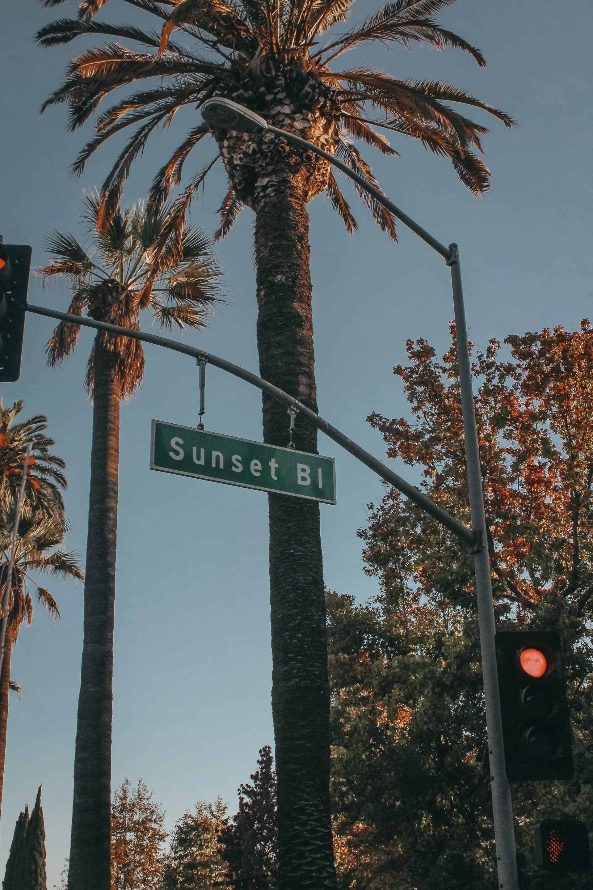 The Sunset Strip Killers: How Doug Clark and Carol Bundy Turned Hollywood Dreams into Nightmares
