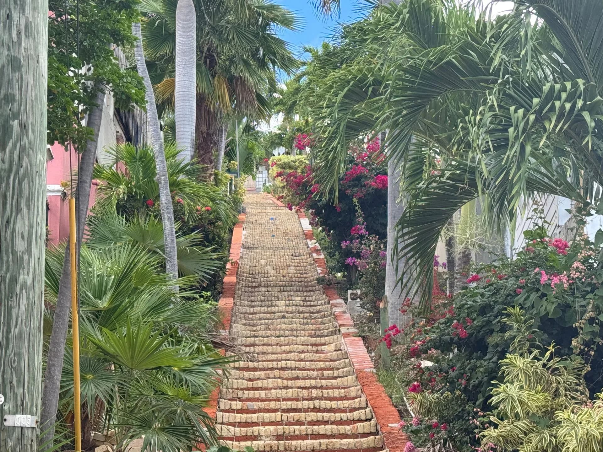 What is 99 Steps in St. Thomas? (The Real Story Behind the City’s Famous Staircases)