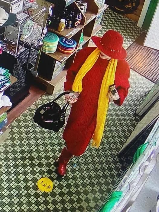 Rhinelander's Hodag Store Robbed by… Carmen Sandiego?