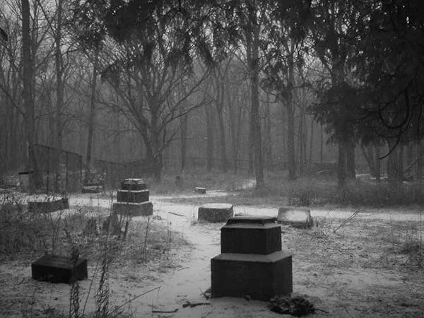 Bachelor's Grove: The Most Haunted Cemetery in Chicago