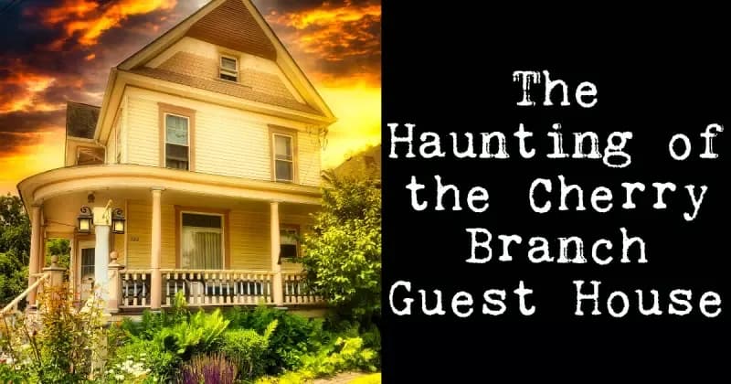 Ghosts and Groundhogs: Hauntings Beneath Woodstock’s Timeless Charm