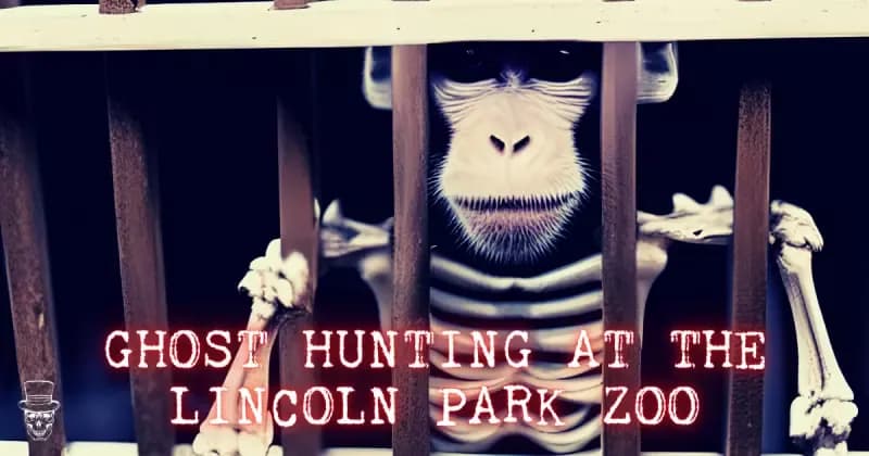 A skeleton is behind bars at the lincoln park zoo