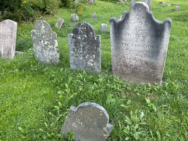 A cemetery with a lot of graves in the grass.
