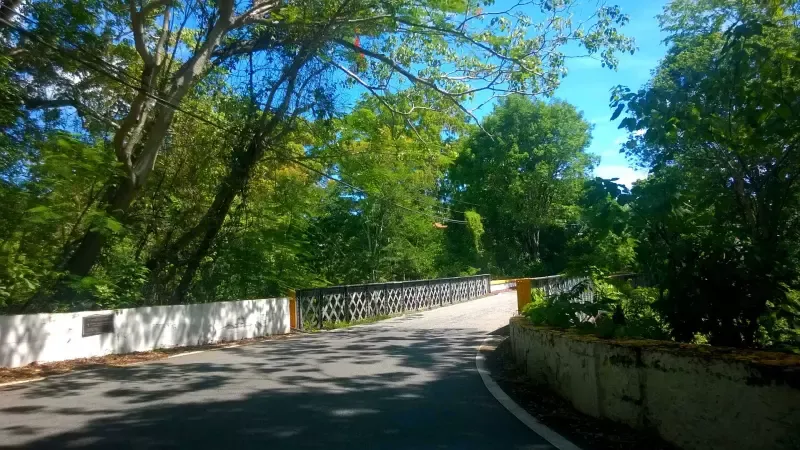 A road with trees on the side of it and a bridge in the background.