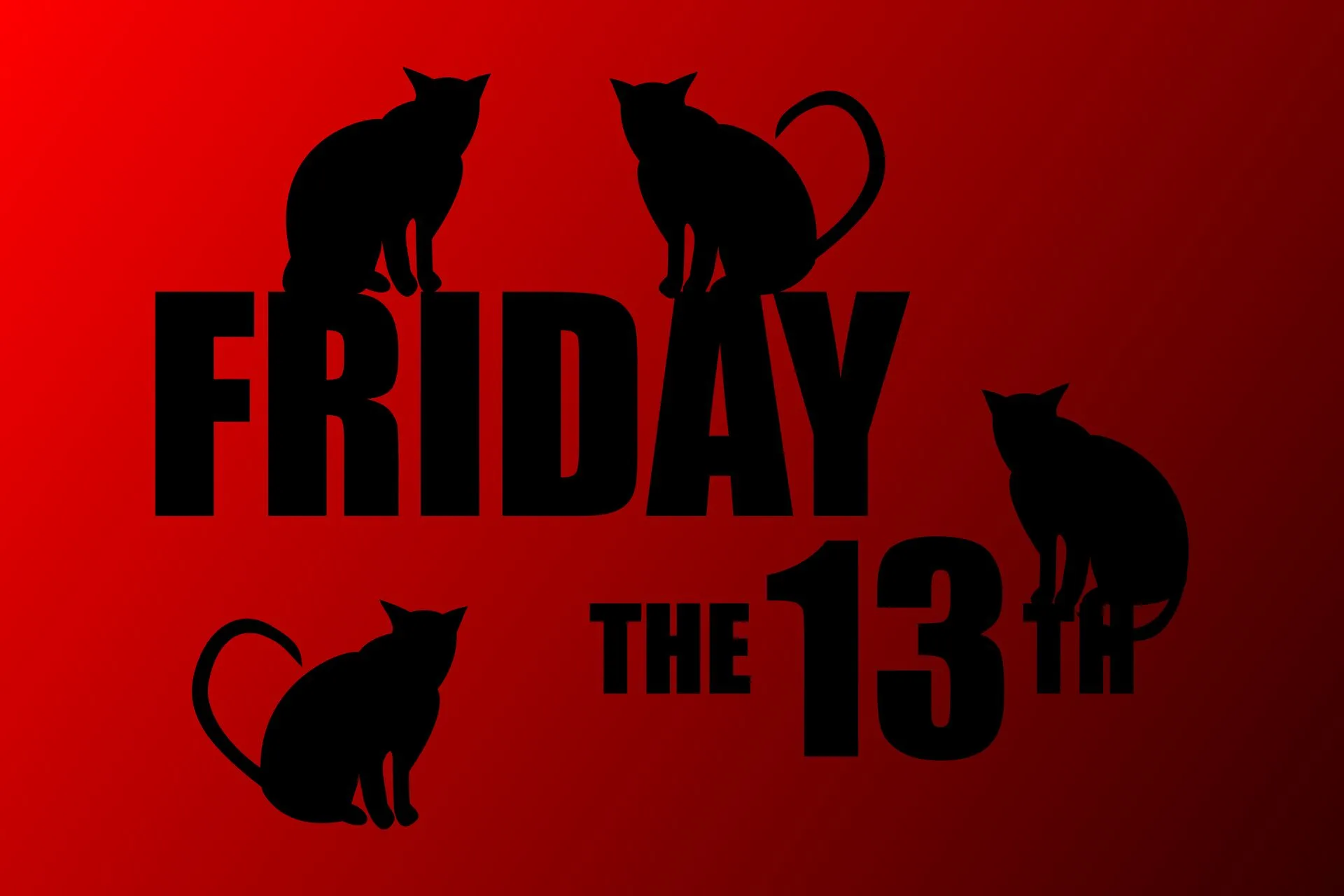 Friday the 13th with a bunch of cats