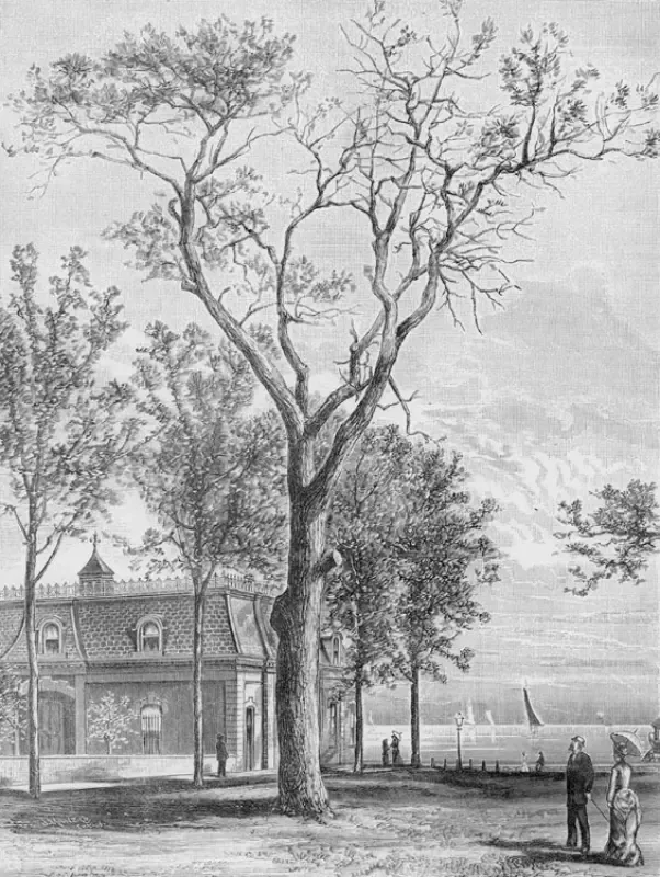 "The Massacre Tree"—The Roots of Chicago's Story