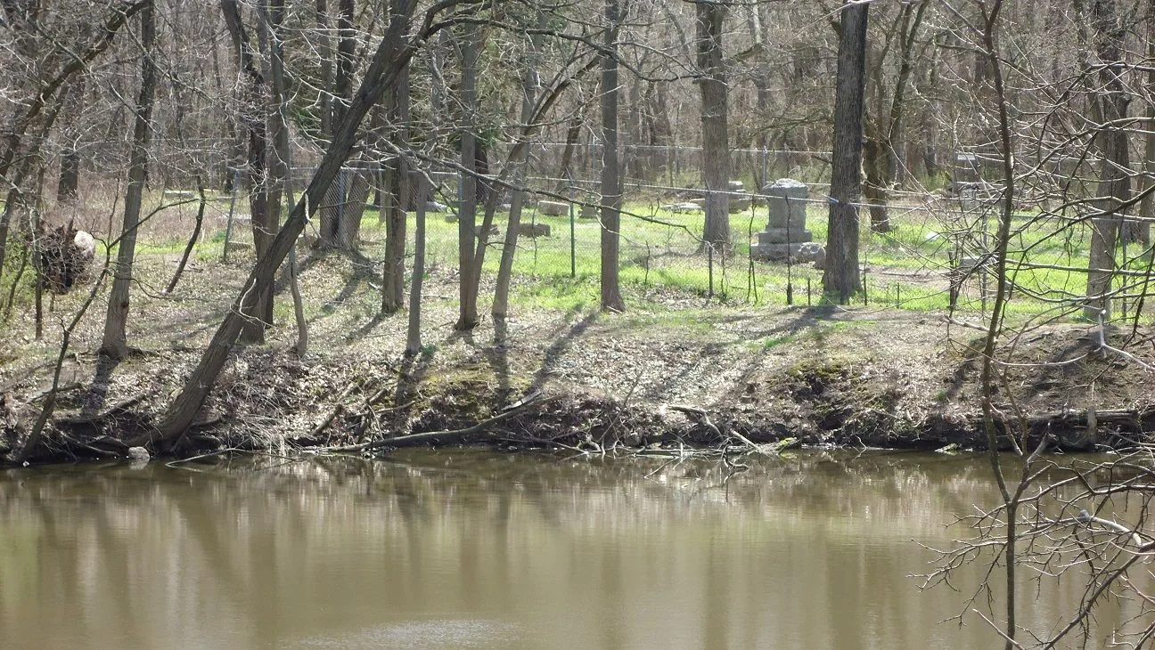A river in the middle of a forest with trees along the shore.