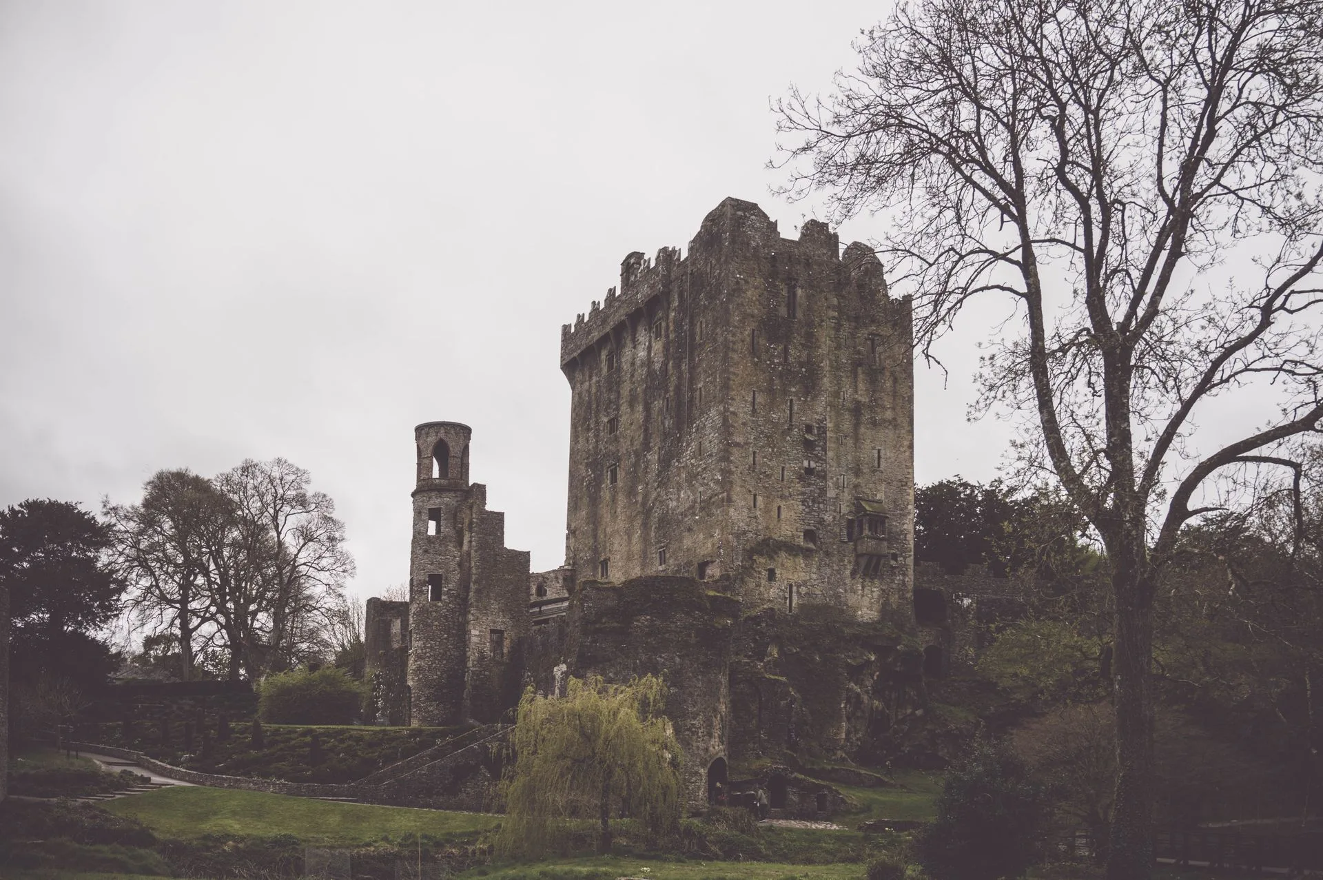 A silhouette of a cat in a field with the words a paranormal experience after kissing the blarney stone