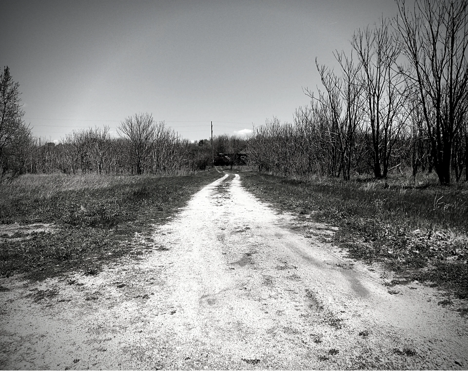 The Haunting of Joliet Prison: A black and white photo of a dirt road going through a field