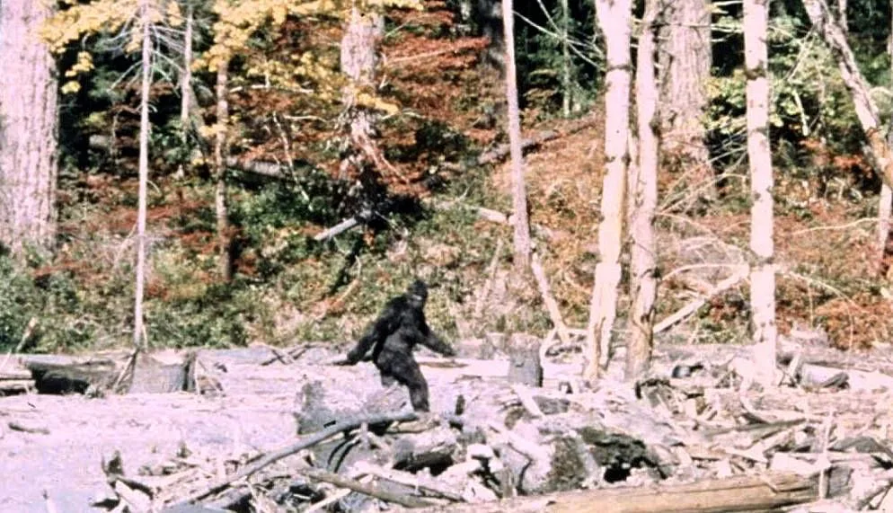 A dark, hairy figure, possibly Bigfoot, walks through a clearing in a forest.
