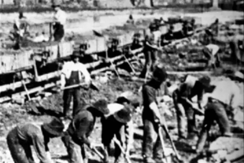 A black and white photo of a group of people digging in the dirt.