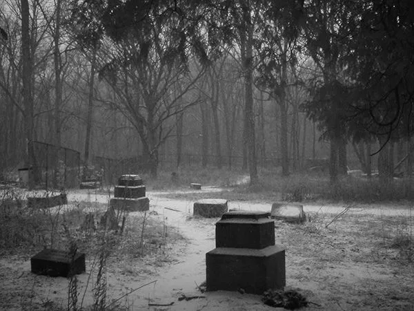Bachelor's Grove: The Most Haunted Cemetery in Chicago